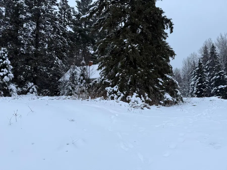 W11496 Hwy 86, Tomahawk, WI 54487 - Image #3