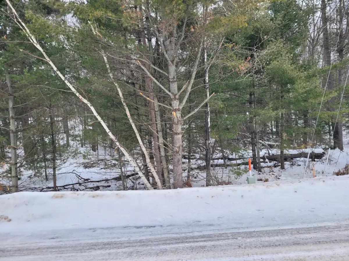 Lot 1 Bass Lake Rd N, Eagle River, WI 54521 - Image #1