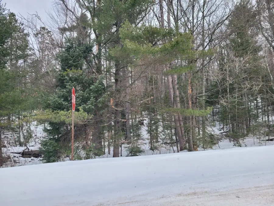 Lot 1 Bass Lake Rd N, Eagle River, WI 54521 - Image #3