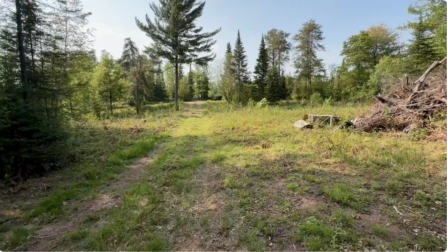 1608 Freedom Tr, Tomahawk, WI 54487 - Image #2