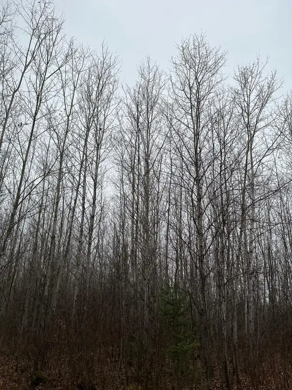 ON Burrows Lake Rd #4067-E, Tomahawk, WI 54487