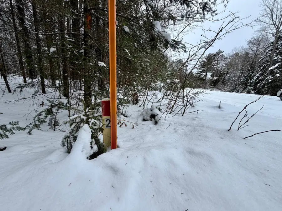 ON Loop Rd, Tomahawk, WI 54487 - Image #2