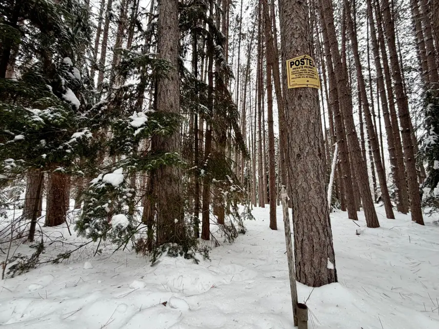 ON Wolf Rd, Lake Tomahawk, WI 54539 - Image #2