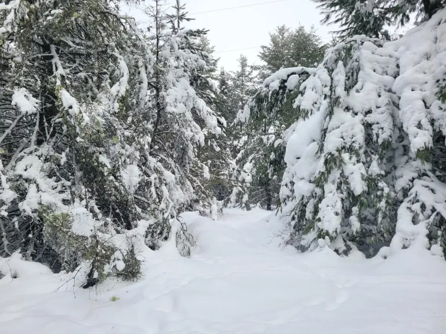 Lot 16 Timbering Haven Dr, Eagle River, WI 54521 - Image #2