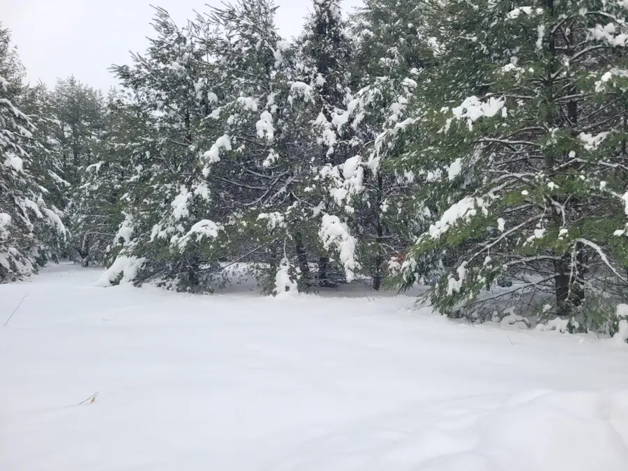 Lot 16 Timbering Haven Dr, Eagle River, WI 54521 - Image #3