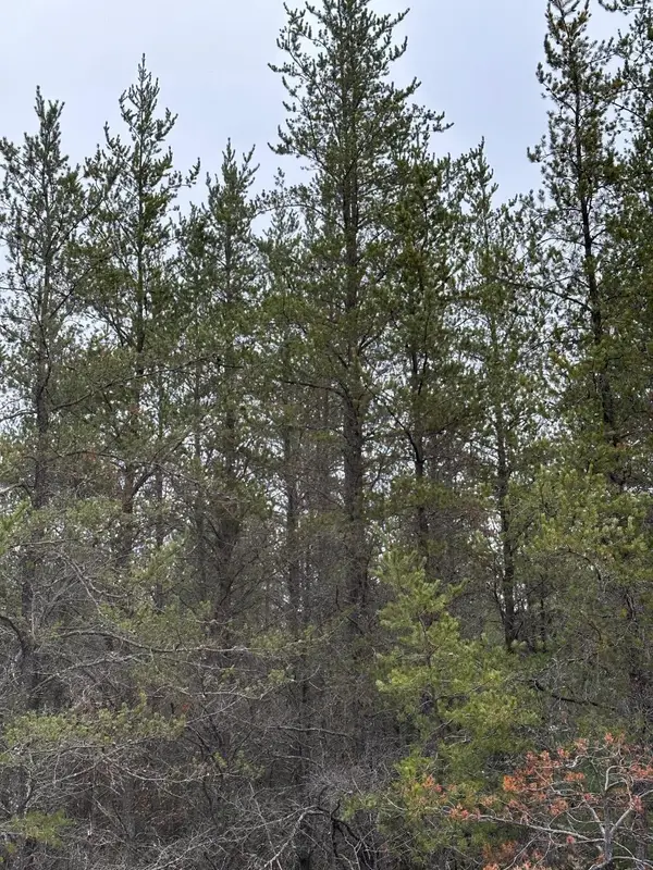 ON Lois Rd #4069-2, Tomahawk, WI 54487