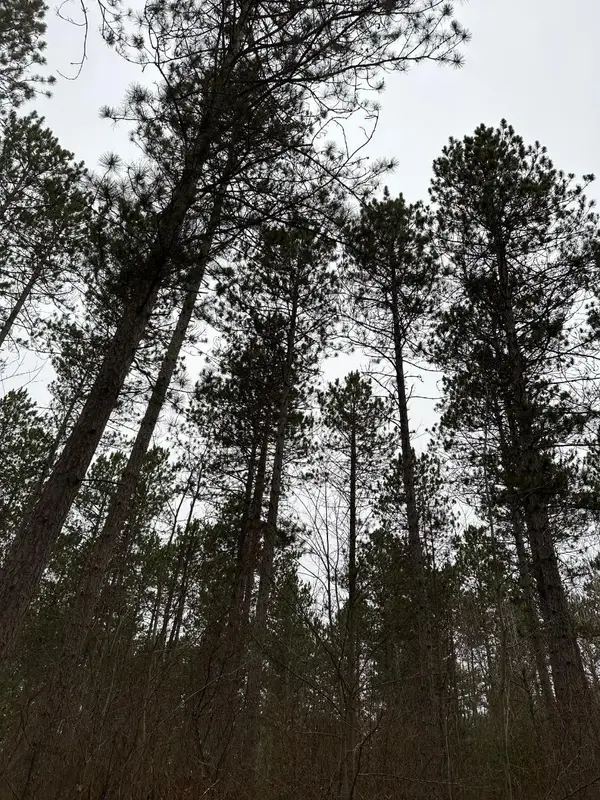 ON Swamp Creek Rd #4069-5, Jackson, WI 59736