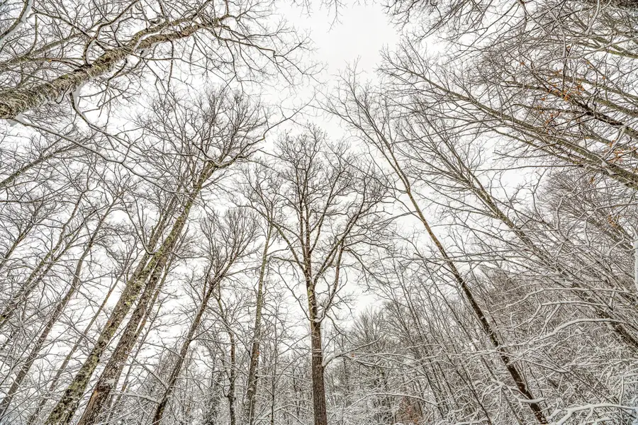 ON Eagles Nest, Phelps, WI 54554 - Image #3