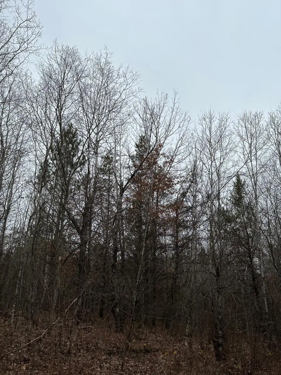 ON Wood Rd #4069-22, Tomahawk, WI 54487 - Image #1