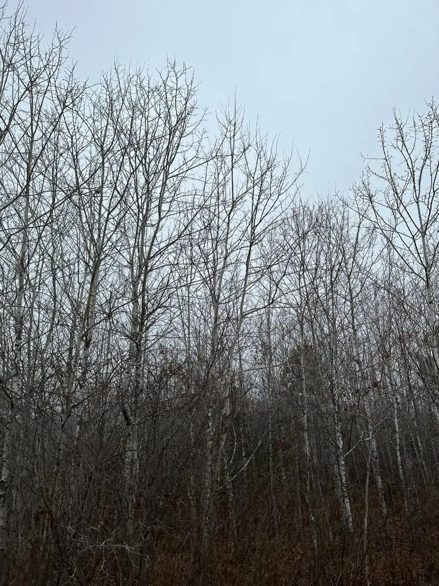 ON Wood Rd #4069-22, Tomahawk, WI 54487 - Image #2