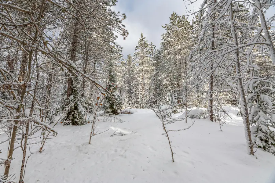 ON Old Us Hwy 2, Watersmeet, MI 49969 - Image #3