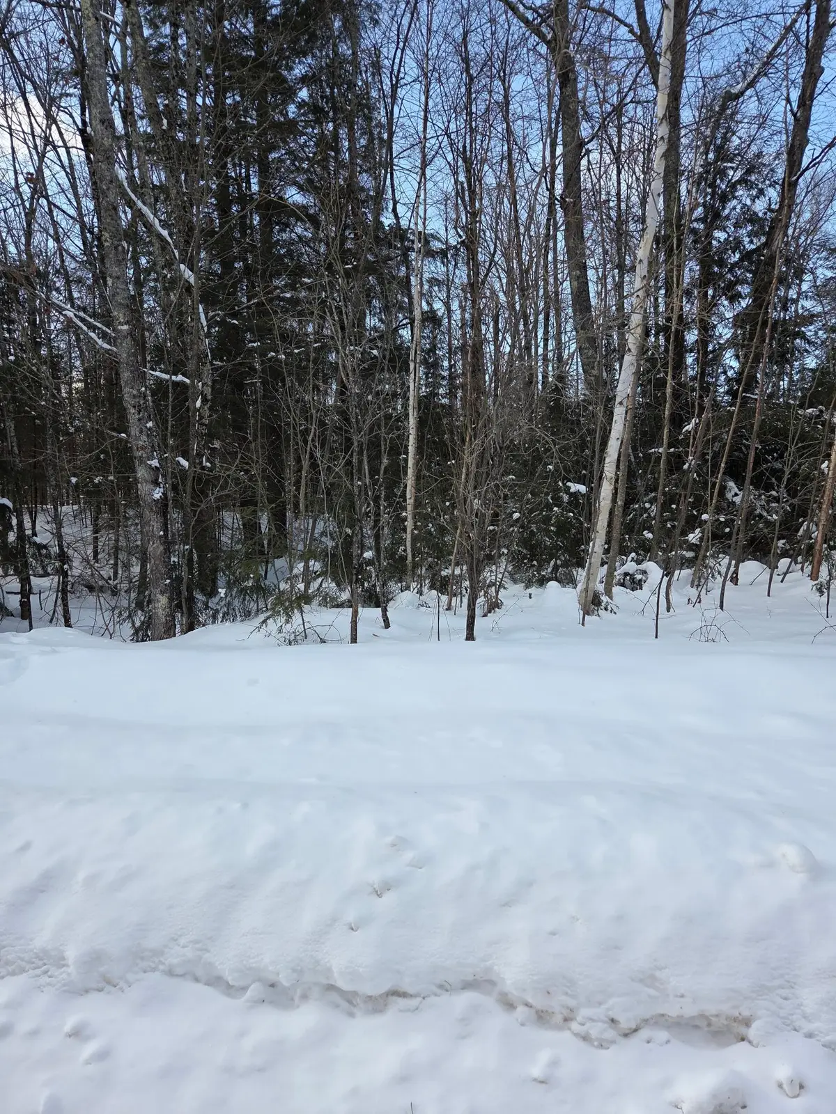 ON Northwoods Ln #Lot 1, Elcho, WI 54428 - Image #1