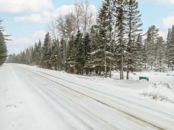 903 Bates-amasa Rd, Iron River, MI 49935