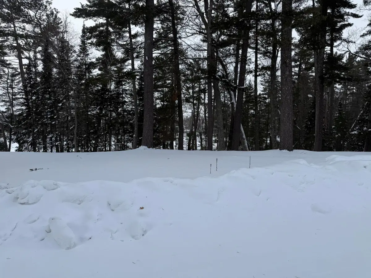 Lot 38 Awassa Ln, Saint Germain, WI 54558 - Image #1