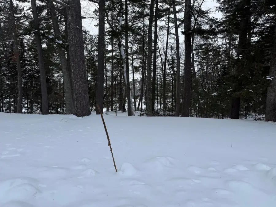 Lot 38 Awassa Ln, Saint Germain, WI 54558 - Image #2