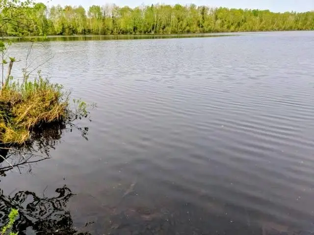 Lot 7 Pixley Wilderness West Rd, Park Falls, WI 54552 - Image #1