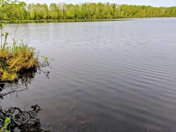 Lot 7 Pixley Wilderness West Rd, Park Falls, WI 54552