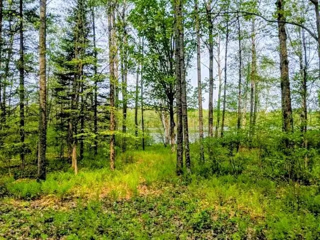 Lot 7 Pixley Wilderness West Rd, Park Falls, WI 54552 - Image #2
