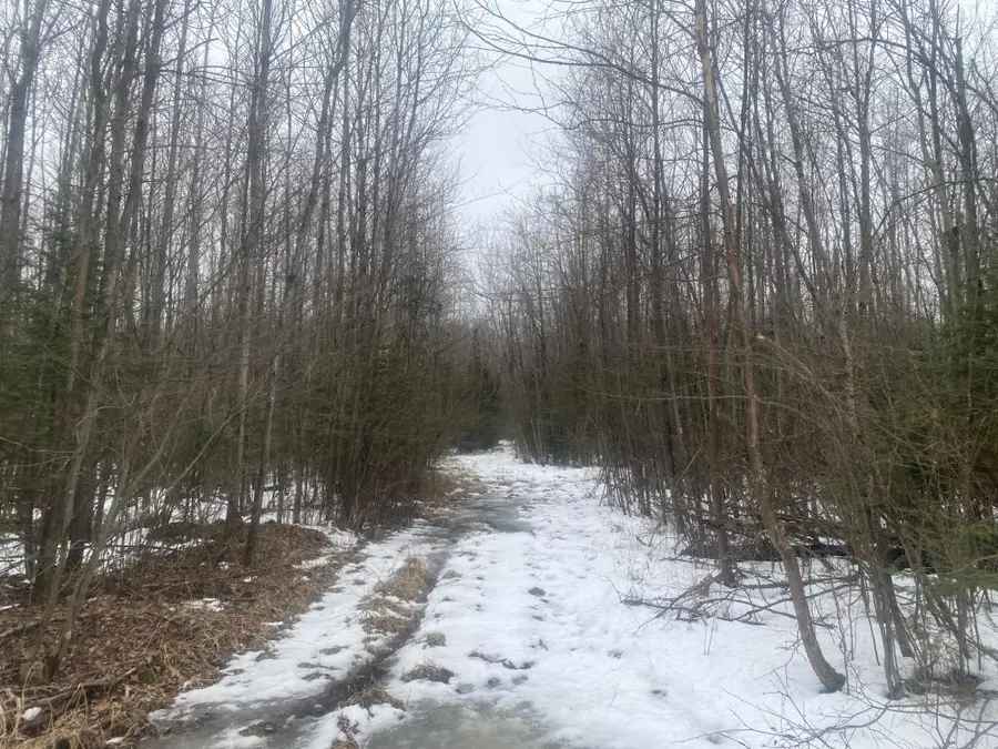 NEAR Spring Brook Ave, Merrill, WI 54452 - #2