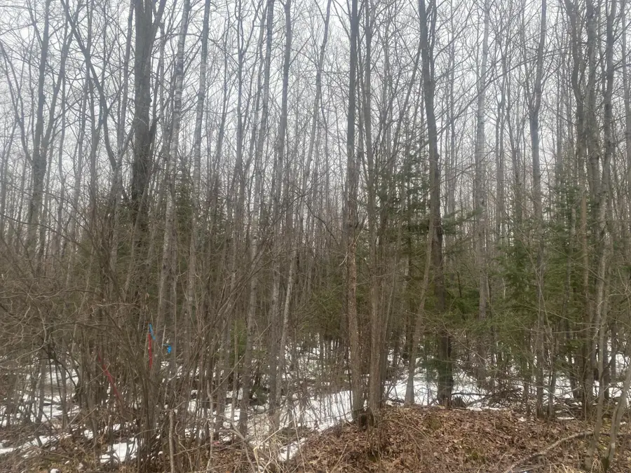 NEAR Spring Brook Ave, Merrill, WI 54452 - #3