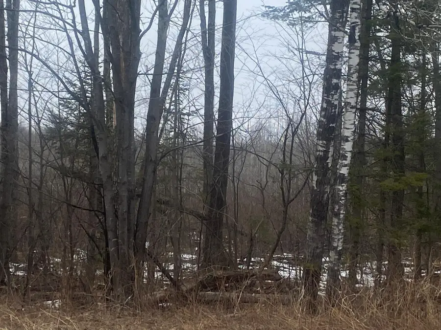 ON Hwy 64, Merrill, WI 54452 - Image #2