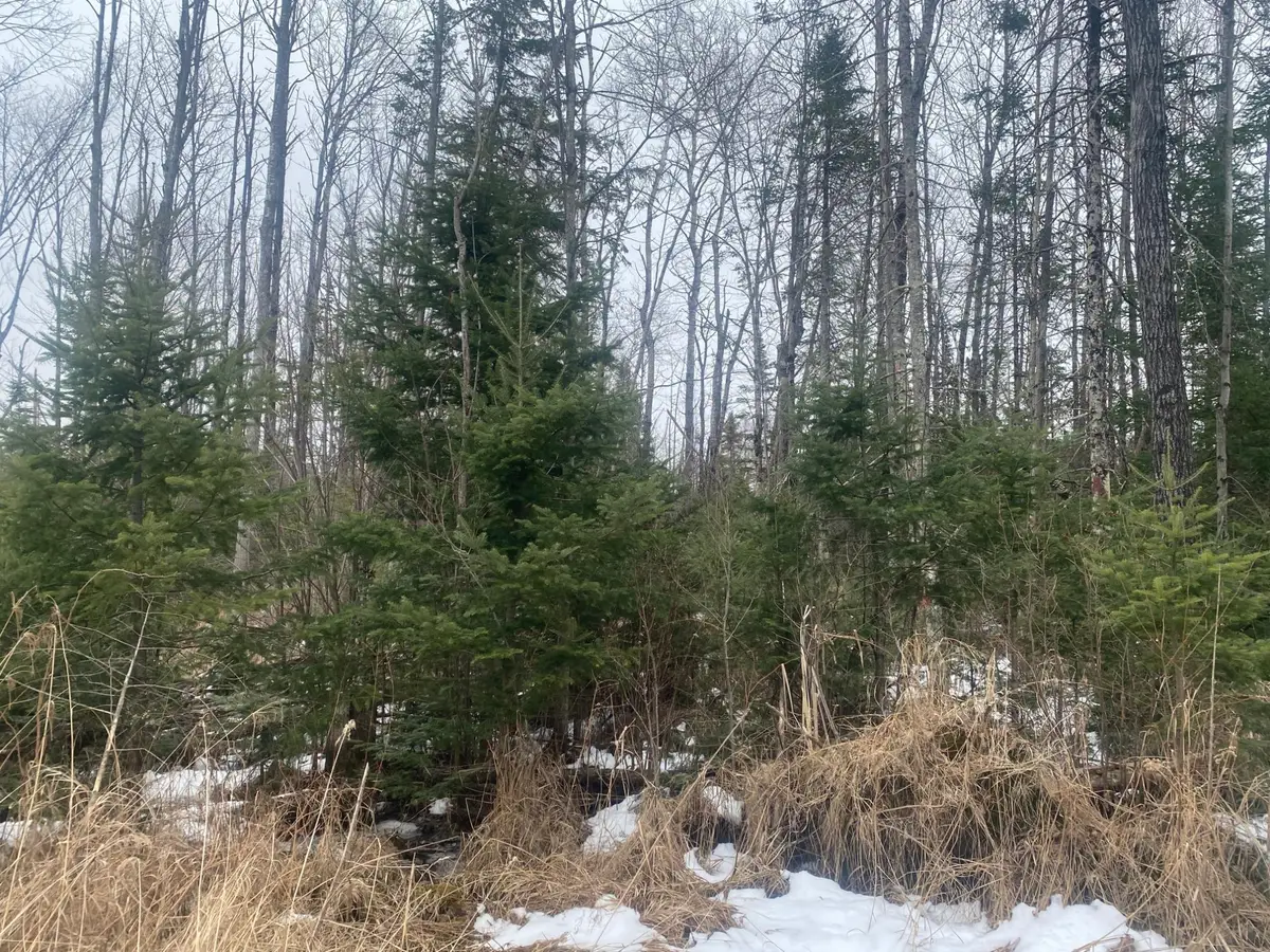 ON Hwy 64, Merrill, WI 54452 - #1