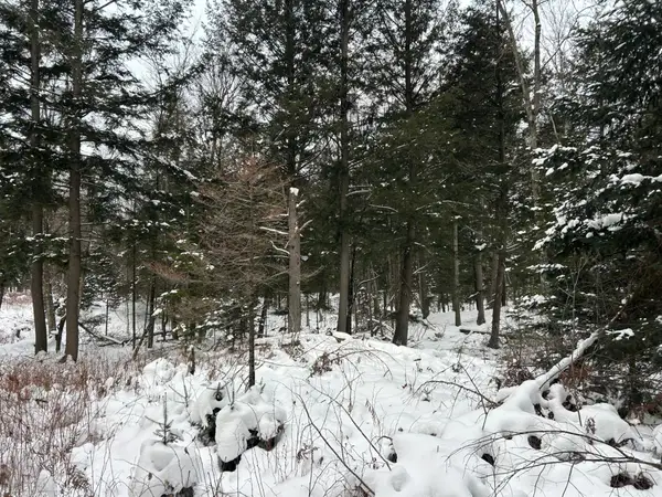 Lot 22 Cth G, Pelican Lake, WI 54463