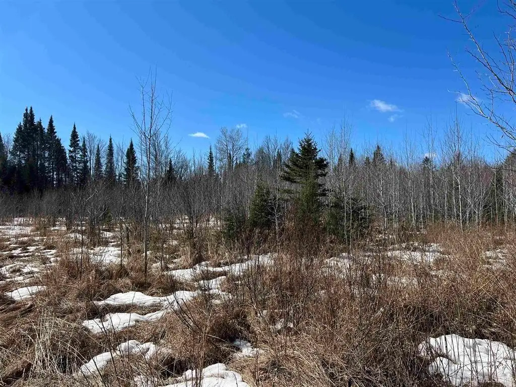 TBD Nordstrom Rd, Iron River, MI 49935 - #1