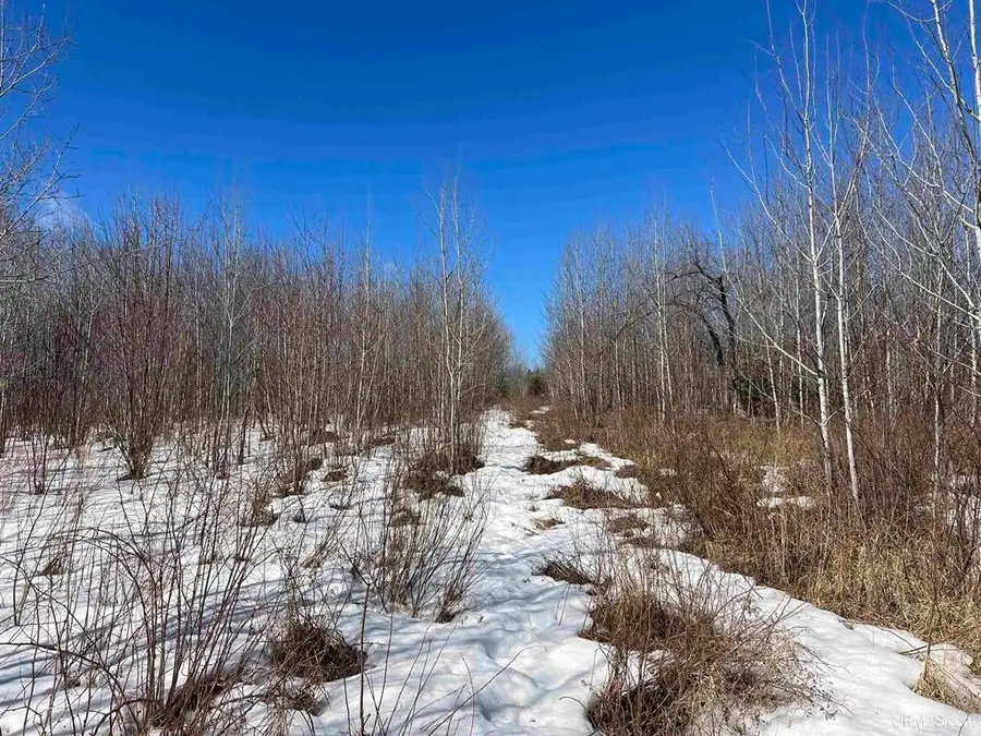 TBD Nordstrom Rd, Iron River, MI 49935 - #2