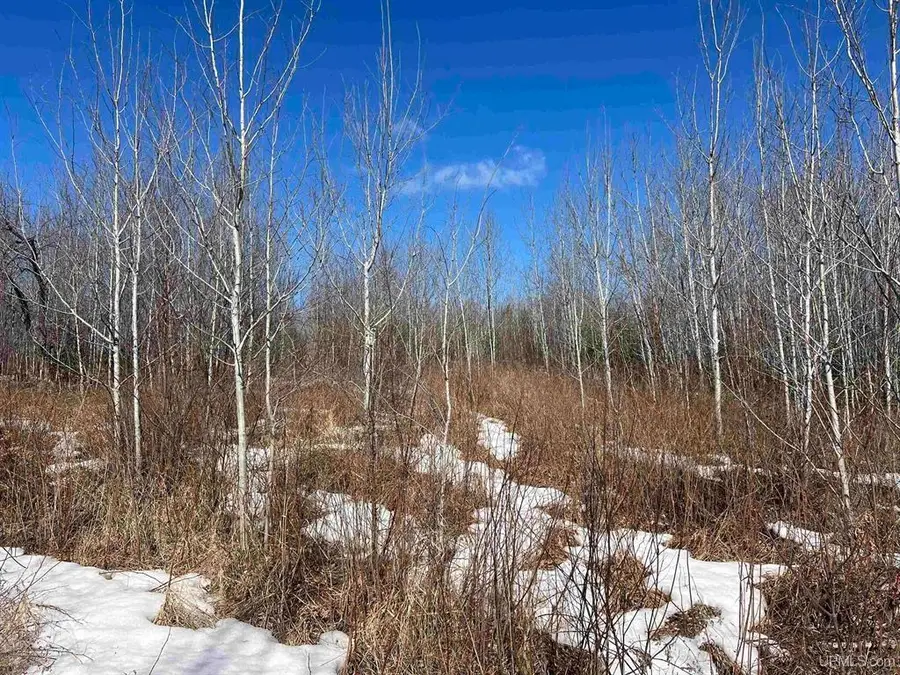 TBD Nordstrom Rd, Iron River, MI 49935 - #3