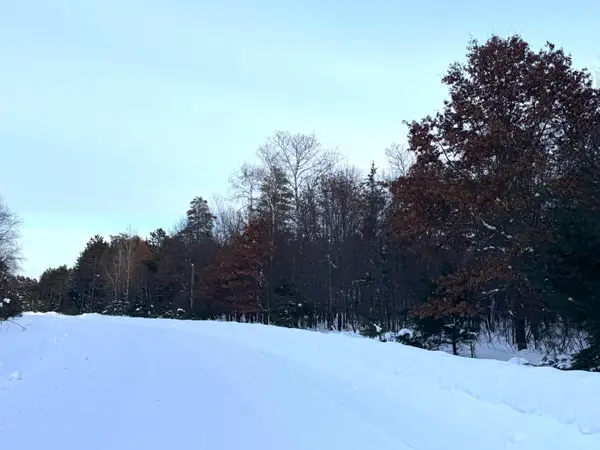 Lot 37 Bosshard Circle Rd, Woodruff, WI 54568