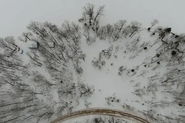 ON E Loon Lake Ln #.92 acres, Elcho, WI 54428