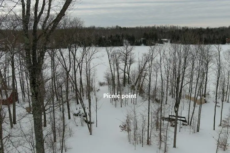 ON E Loon Lake Ln #.92 acres, Elcho, WI 54428 - #2