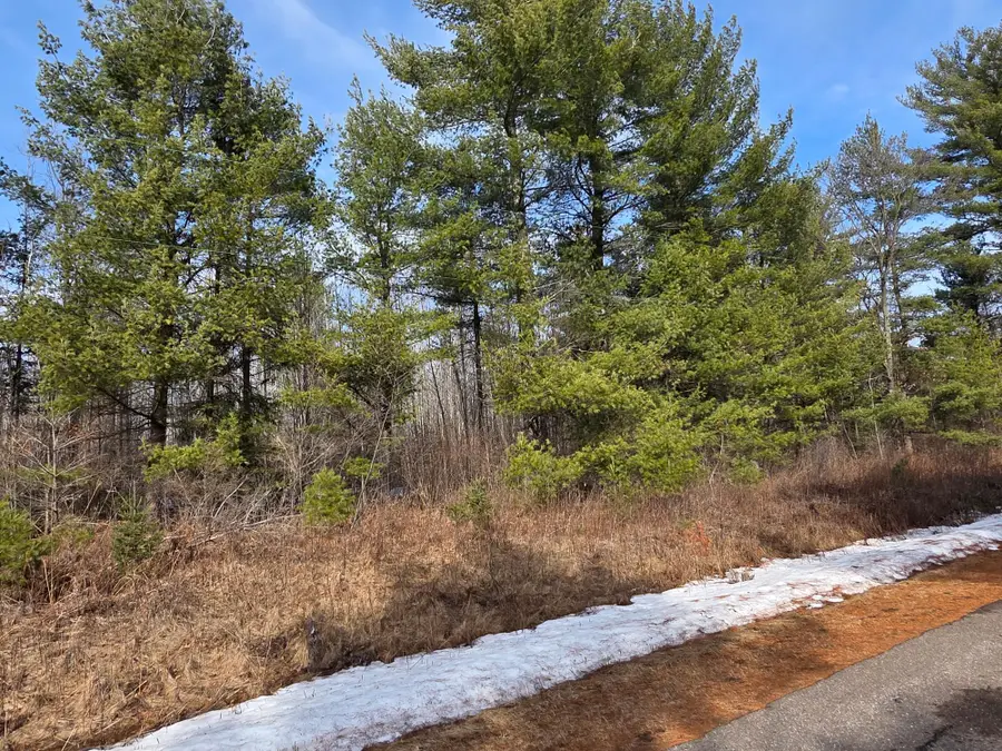 ON Herb Mitchell Rd, Irma, WI 54442 - Image #3