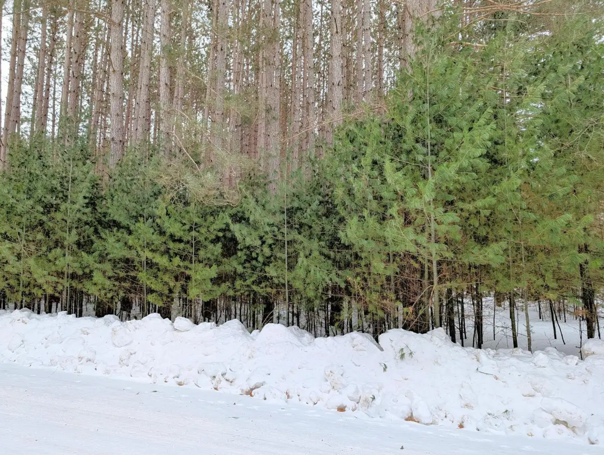 LOT 157 Trailwood Dr, Minocqua, WI 54548 - #1