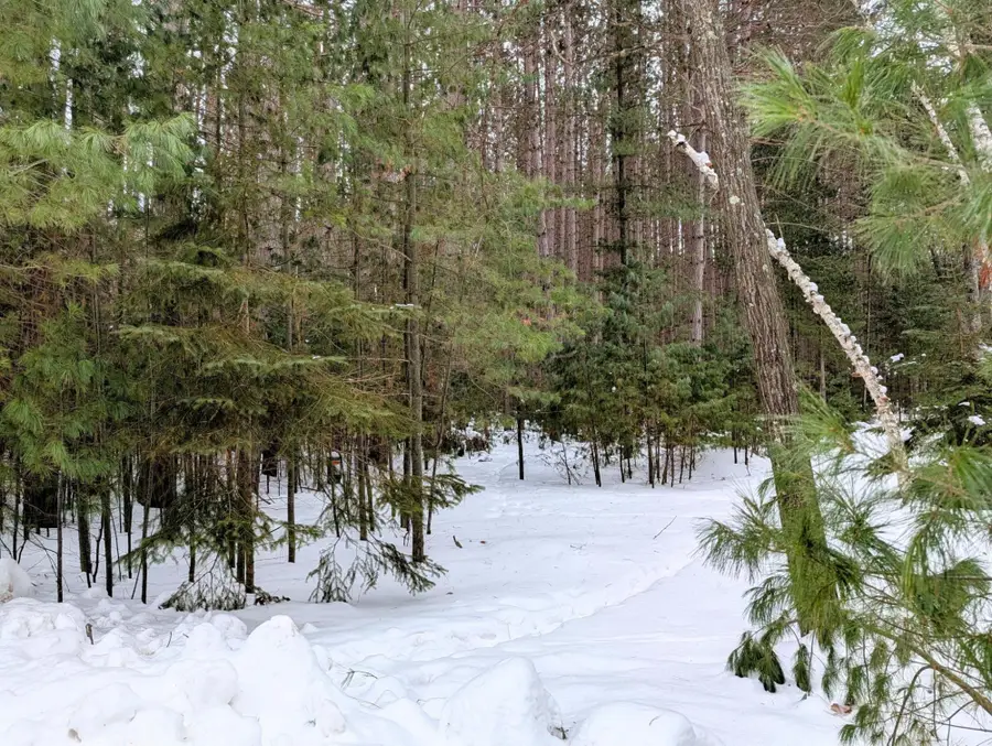 LOT 157 Trailwood Dr, Minocqua, WI 54548 - #2