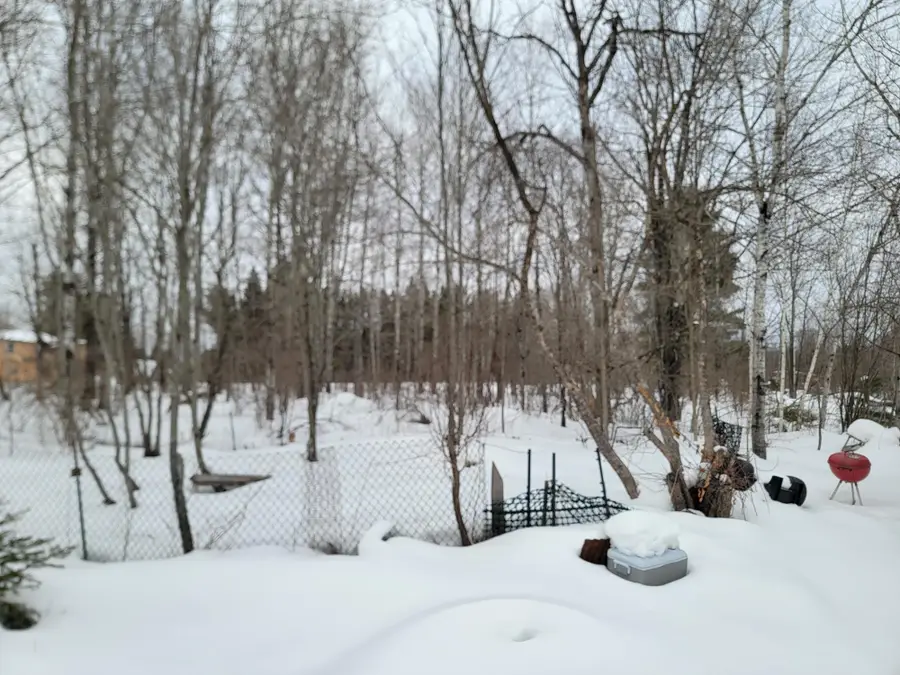 6818N Zett Rd, Winter, WI 54896 - #2