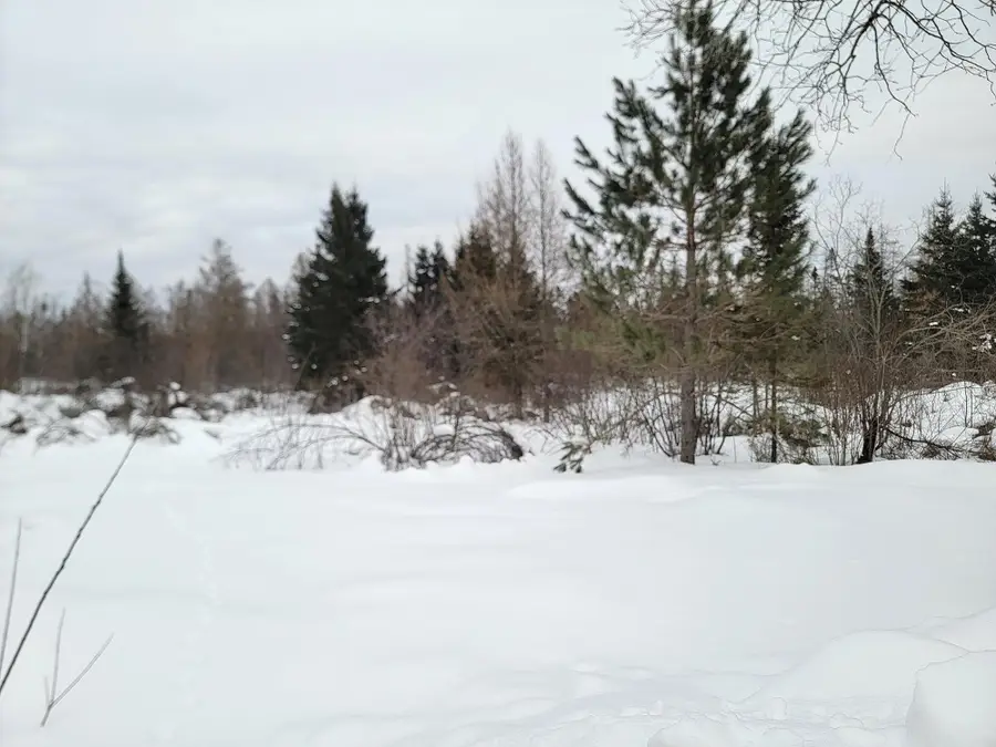 6818N Zett Rd, Winter, WI 54896 - #3