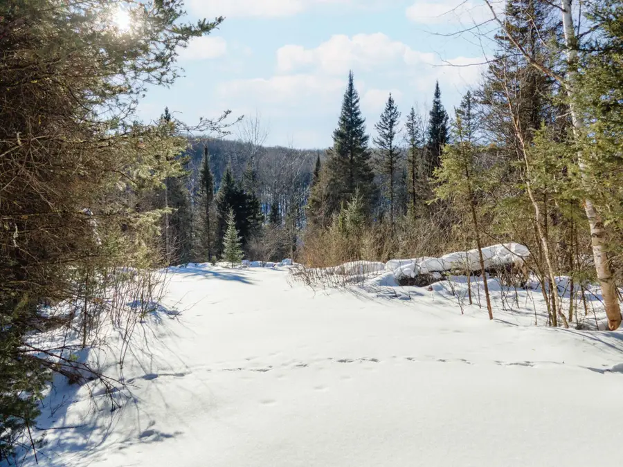 Lot 30 River Country Rd, Iron River, MI 49935 - #3