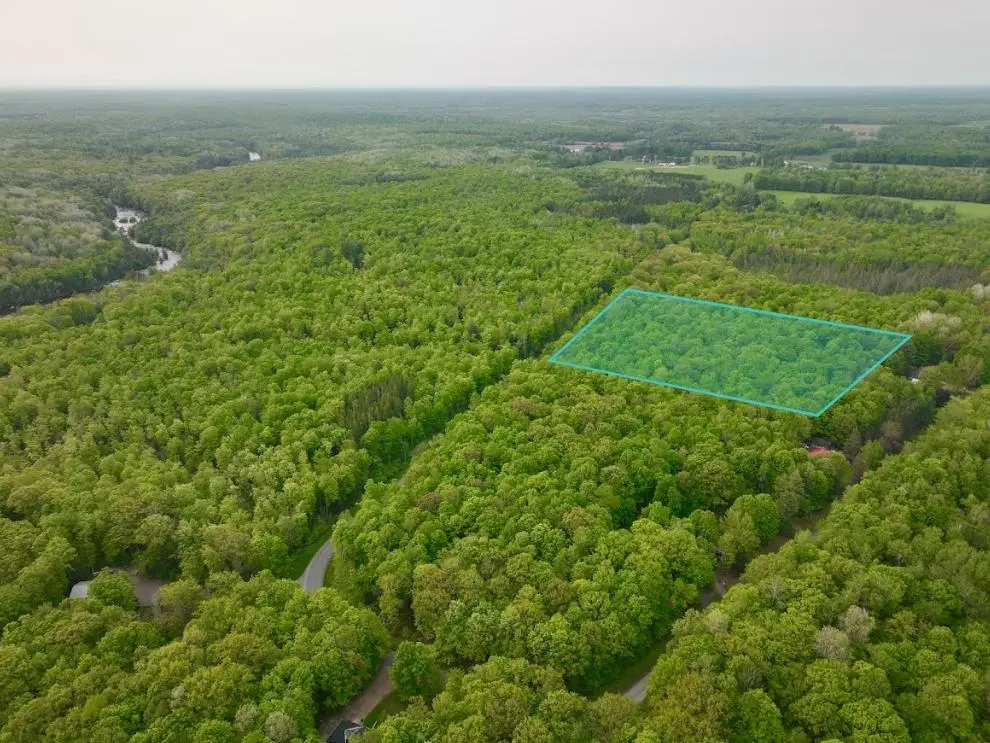 N3891 Buettner Ln, White Lake, WI 54491 - #1