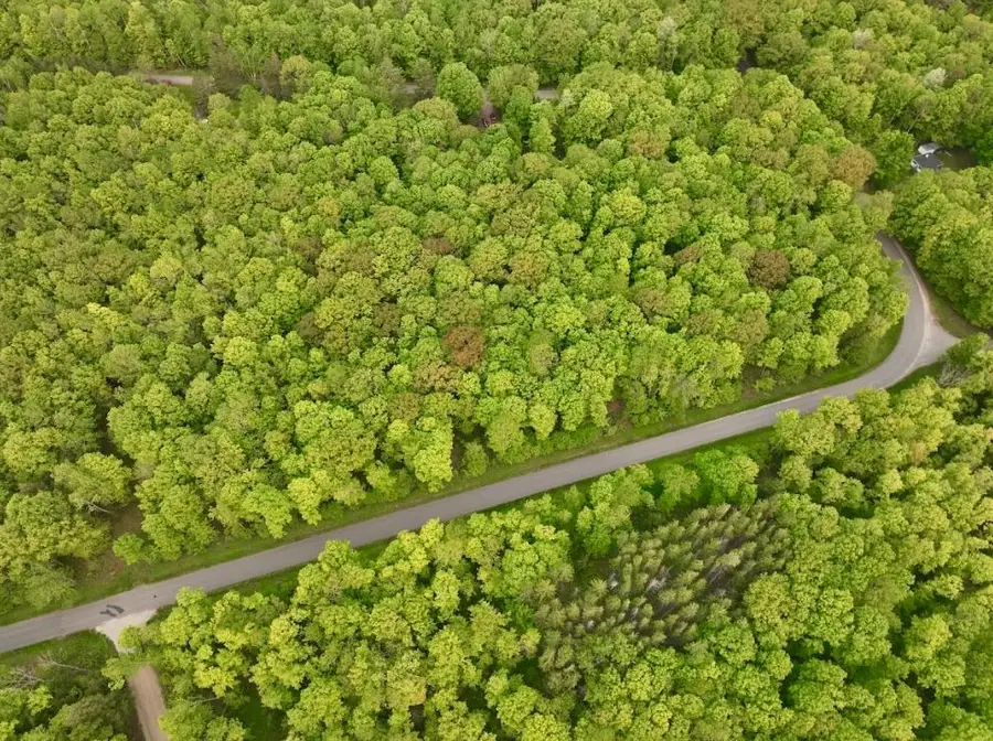 N3891 Buettner Ln, White Lake, WI 54491 - #3