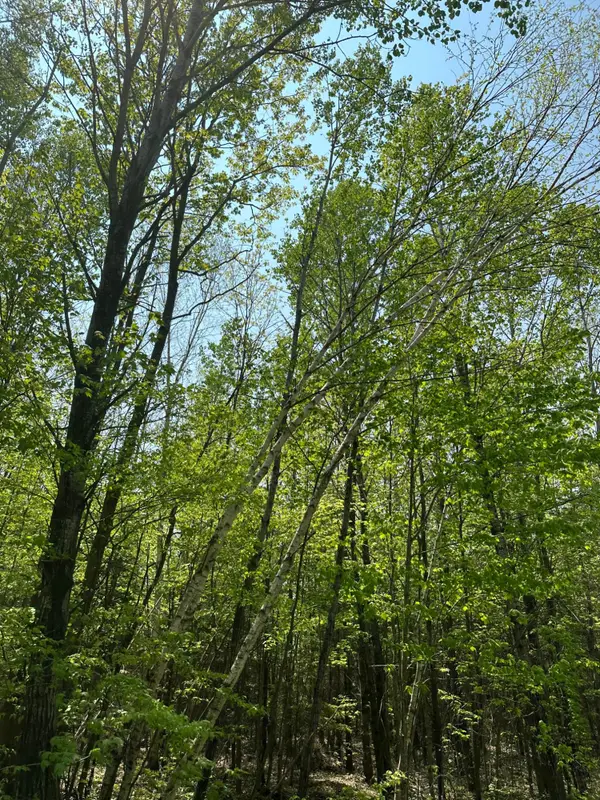 ON Other #8439-A, , WI 54456