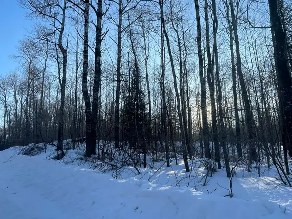 ON Blockhouse Lake Rd, Park Falls, WI 54552