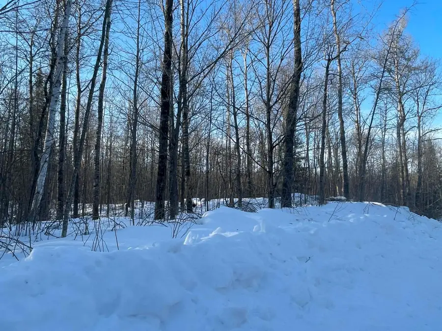 ON Blockhouse Lake Rd, Park Falls, WI 54552 - #2