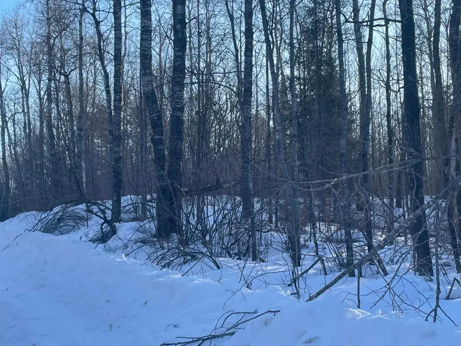 ON Blockhouse Lake Rd, Park Falls, WI 54552 - #3
