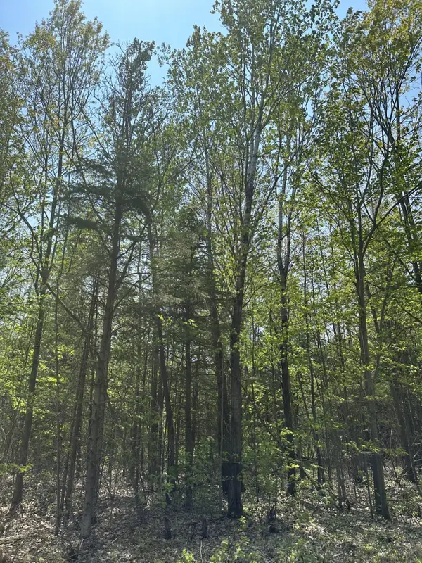 ON Other #8439-B, , WI 54456