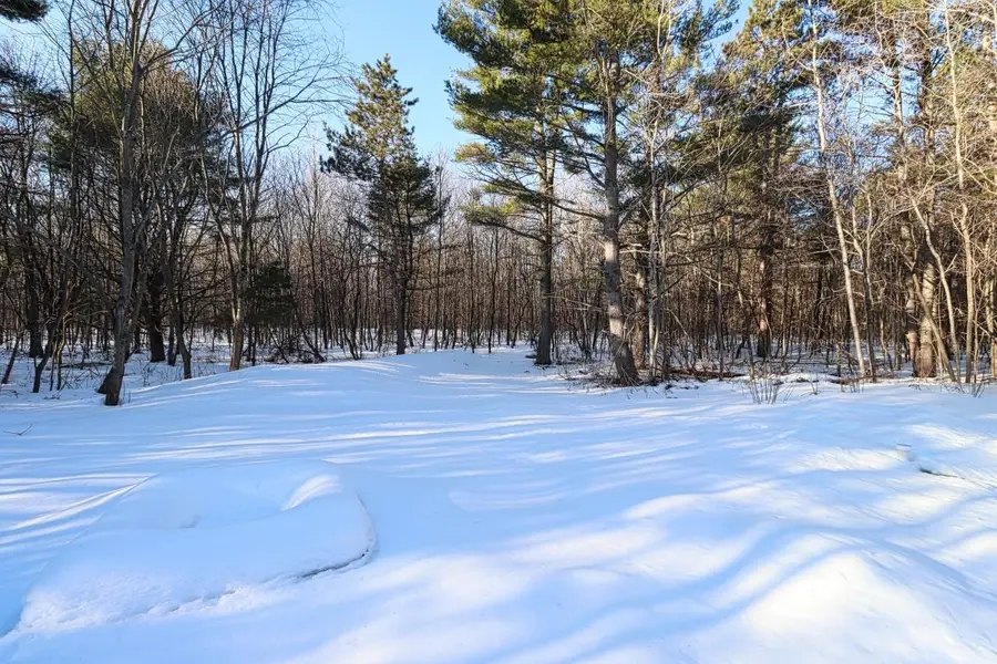 12806 Tall Pines Dr, Minocqua, WI 54538 - #2