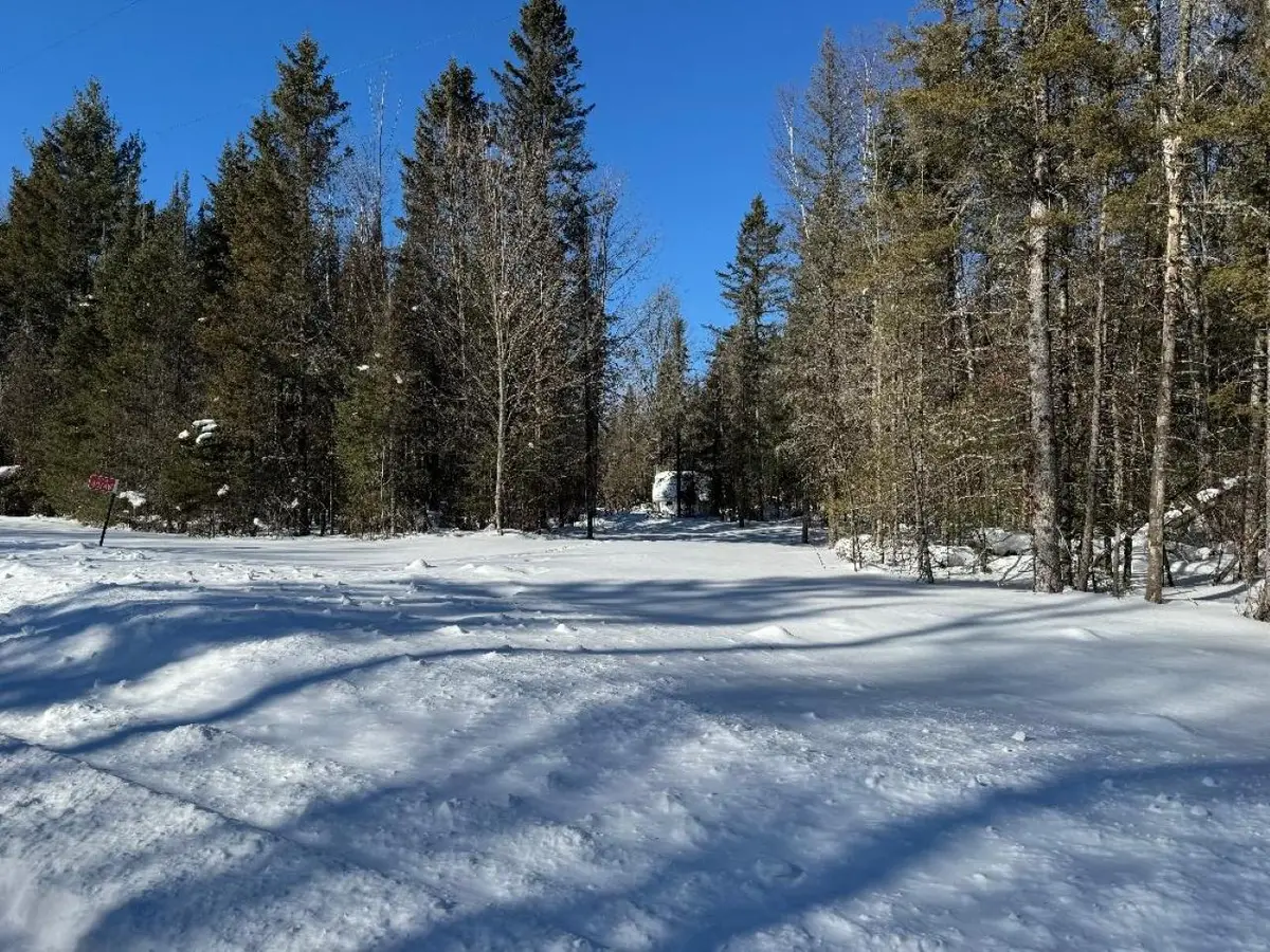 4074W Weber Rd, Mercer, WI 54547 - #1