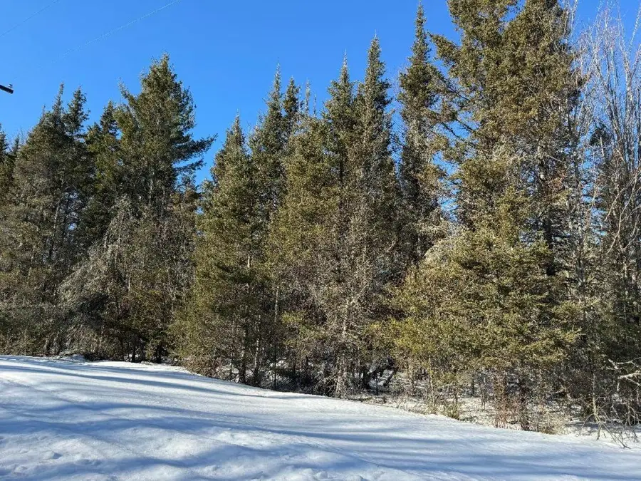 4074W Weber Rd, Mercer, WI 54547 - #3