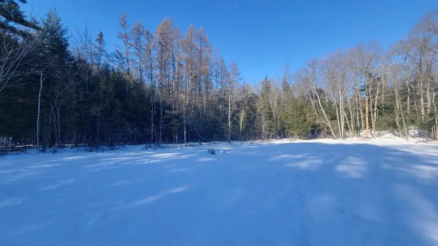 LOT ON Jimmy Ln, Harshaw, WI 54529 - #3